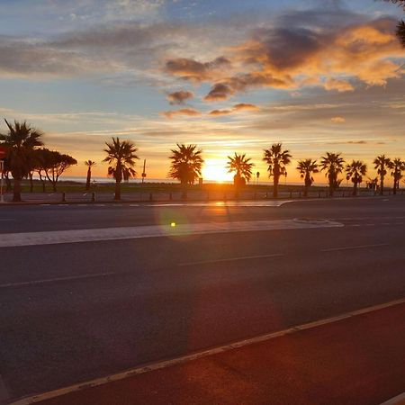 Appartement Saint Cyprien Plage Residence Les Mas De La Mer Dış mekan fotoğraf