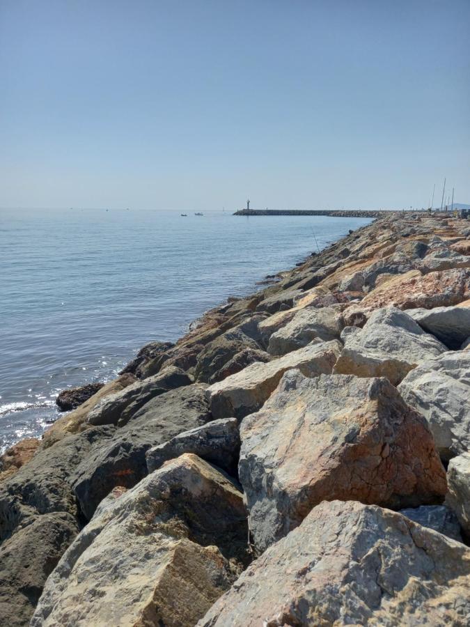Appartement Saint Cyprien Plage Residence Les Mas De La Mer Dış mekan fotoğraf