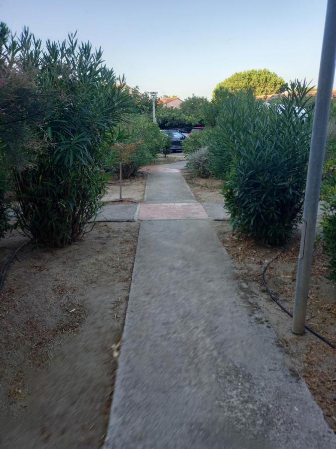 Appartement Saint Cyprien Plage Residence Les Mas De La Mer Dış mekan fotoğraf