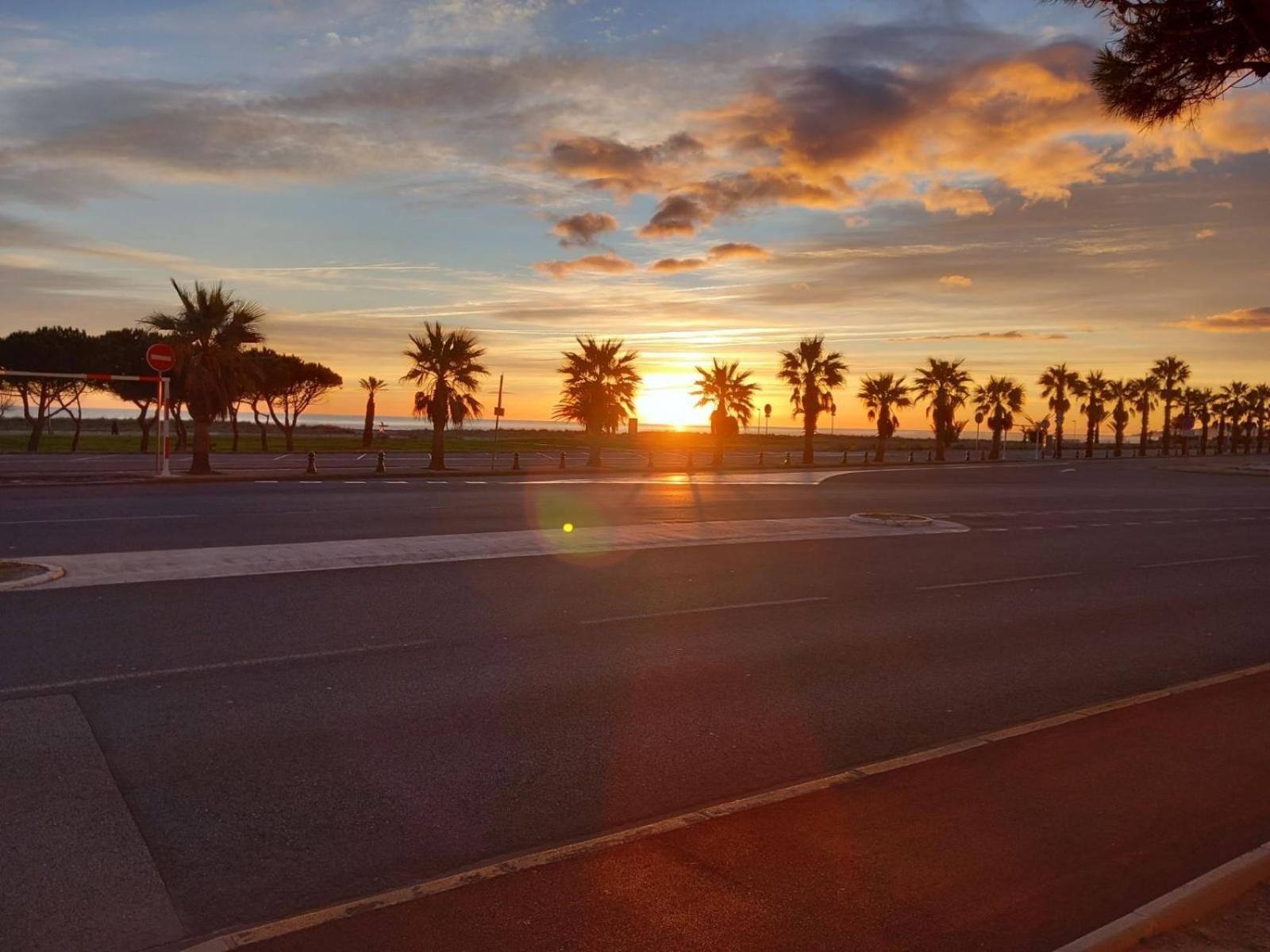 Appartement Saint Cyprien Plage Residence Les Mas De La Mer Dış mekan fotoğraf